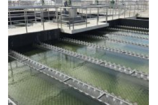 【干貨】有機(jī)物導(dǎo)致的氨氮超標(biāo)?這種情況該如何處理呢？