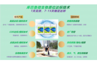 春節(jié)復(fù)工，生化系統(tǒng)快速修復(fù)，確保污水達(dá)標(biāo)排放