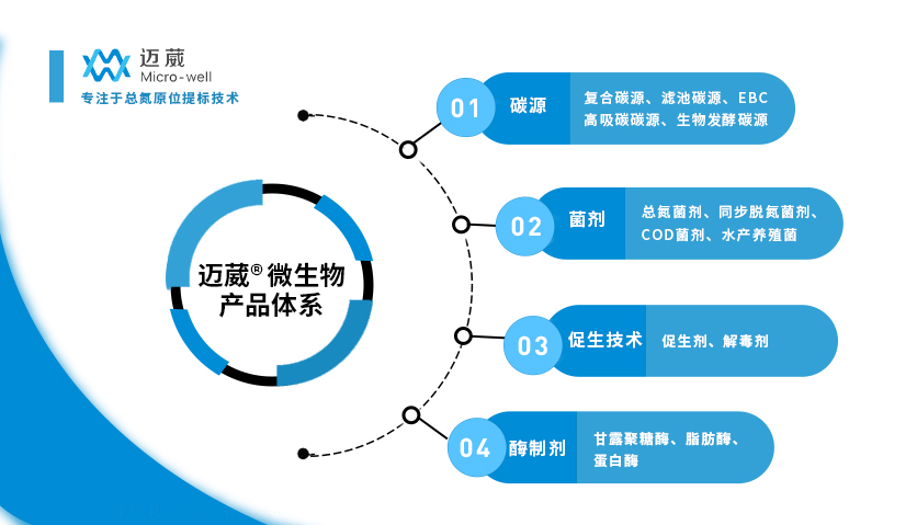 邁葳專注于總氮原位提標技術(shù)