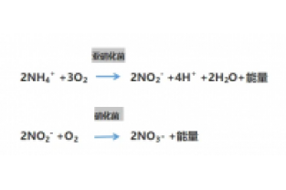 食品廢水氨氮超標(biāo)，你可以這么做