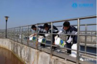 碳氮比失調(diào)，總氮超標(biāo)怎么辦