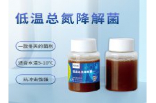反硝化細(xì)菌在污水處理中的具體應(yīng)用是什么？